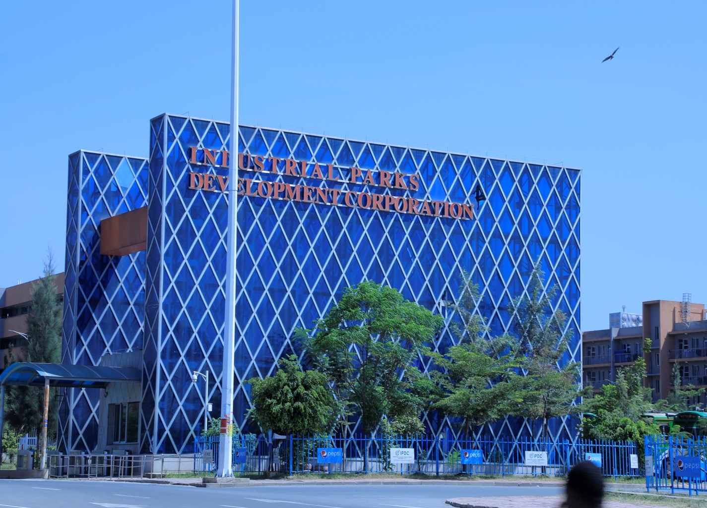 hawassa industry