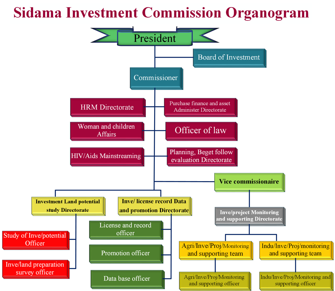 organogram  