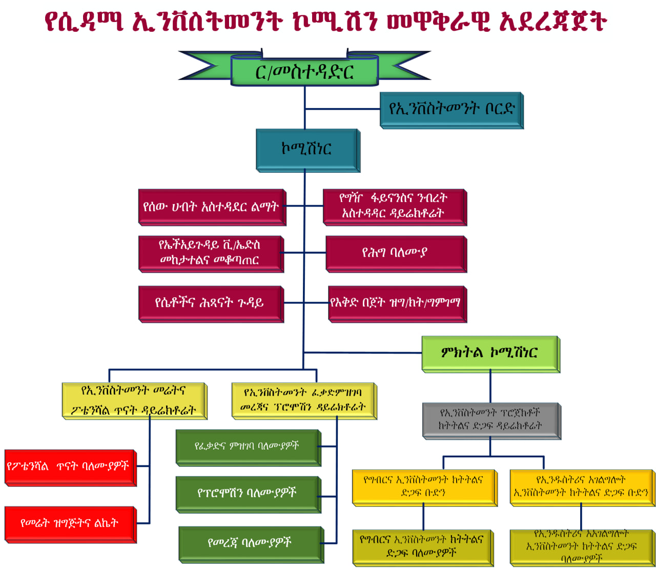 organogram  