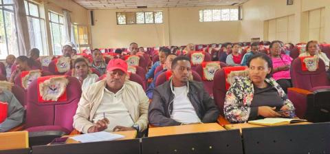 Techo 2016m.d xaphoomma loosu jeefishsha, 2017 Ba/Diri mixo aana hasaawanna web-site latisate looso jeefise faajjetenni looso hanafano gede assini.