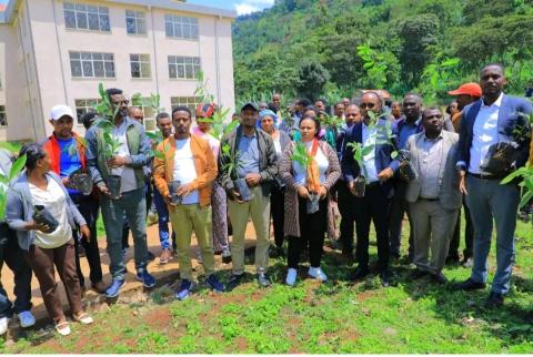 Sidaamu dagoomu qoqqowi Mootimma Investimentete Komishiine massagaanonna loosu miilla Cabbe gaambeeltote woradi giddo haanju harumira ikkitanno chigginye kaayisu.